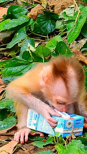 5.2K views · 112 reactions | World Comedy on Reels | Facebook