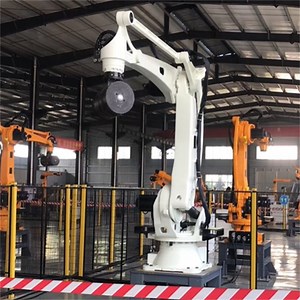 [Hot Item] Palletizing Carton Box Case Industrial Robot Automatic Packing Handling Rapidly