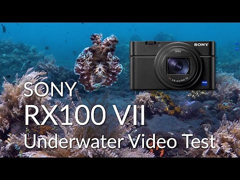 Sony RX100 VII Underwater Video Test