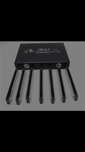 Swan 24-Hole Polyphonic Harmonica Tutorial