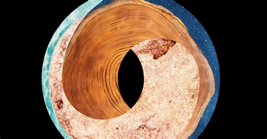 Deloitte 2024 CxO Sustainability Report