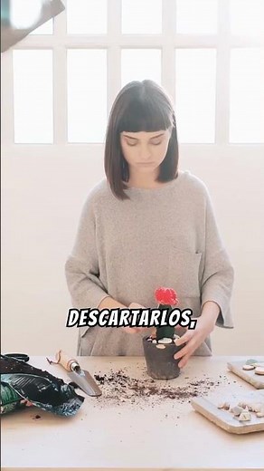 JAPANESE TECHNIQUES: The Konmari Method