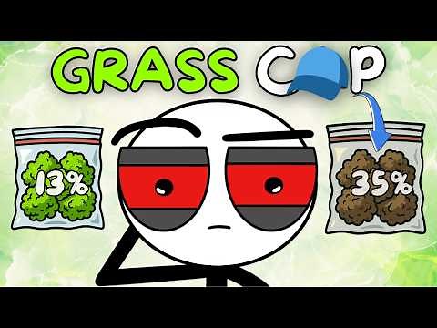 Weed Myths You Still Believe