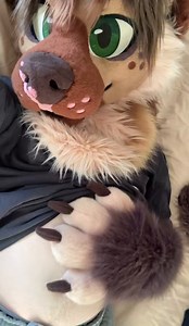 🐶🐾 wawf #tummytuesday