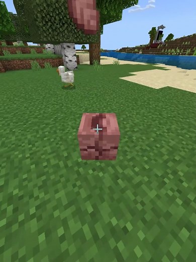 m1n3craftezlife trên TikTok