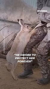 This little rabbit tries his best to prevent his love from being taken, even though it was just a medical check-up. Here's how he defended her with some impressive moves. | Hallelujah