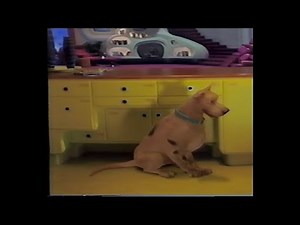 Scooby Doo 2: Monsters Unleashed: Scooby (2004) (VHS Capture) (25)