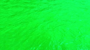 Download Defocus blurred transparent green colored clear calm water surface texture with splashes and bubbles. Trendy abstract nature background. Water waves in sunlight. Green water shining background. for free