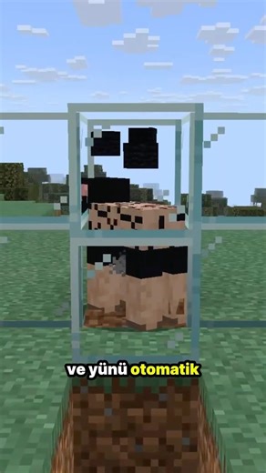 Minecraft’ta Koyunları Artık Sen Kırpmıyorsun!