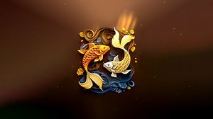 4K  太极锦鲤  黄锦鲤(动物动态壁纸) - 元气壁纸