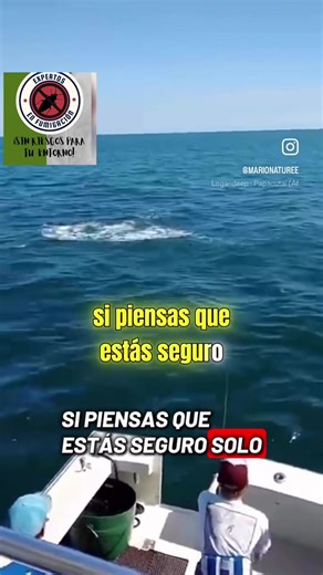 #creatorsearchinsights @ExpertosenFumigacionMX🧿 @ExpertosenFumigacionMX🧿 @ExpertosenFumigacionMX🧿 @VNoticias @Al Extremo @N UNIVISION #tiburon #mar #sabiasque #fypシ゚ eva elfie r/AnalPerfection r/FakeTitsPerfection r/AgeGapPerfection r/TeensLovesBigDicks r/TeensLovesDicks r/AaliyahYasinNew r/AbbyRoseNew r/AbellaDangerNew r/AidraFoxNew r/AlenaCroftNew r/AlexisFawxNew r/AmberJayneNew r/Andie_Anderson r/AngelYoungsNew r/AngieLynxNew r/AniaKinskiNew r/Anna_Kolba r/AriaLeeNew r/AubreeValentineNew r