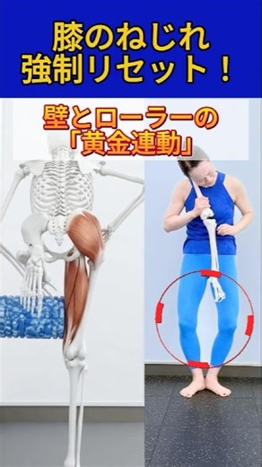 膝の痛みを根本からリセット！中臀筋×内転筋を繋ぐ「黄金連動」トレーニング