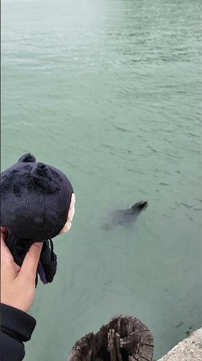 POV: Mona knows the best spots at GitHub Universe