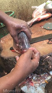 This Fish has Human teeth. #facebookreels | Monster Fish Cutting