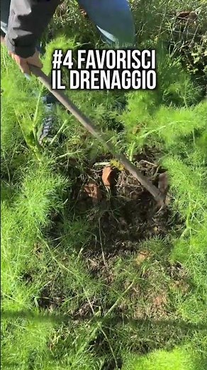 Rincalzare i FINOCCHI serve davvero?