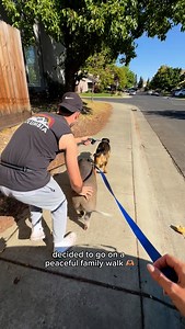 154K views · 2.2K reactions | Relaxing Saturday morning walk 殺 | Merlin The Pig | Facebook