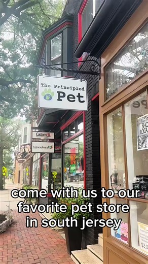 Discover The Principled Pet: A Collingswood Treasure