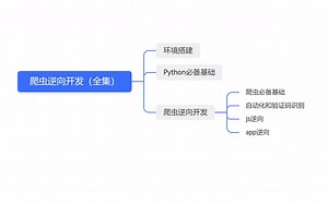 爬虫逆向开发（全集）——前置 环境搭建+Python必备基础