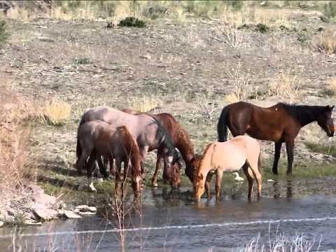 Crescent Valley in Eureka County, Nevada April 2015