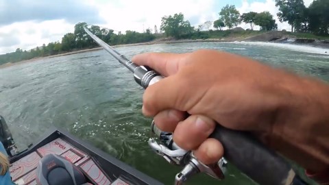 Waterfall Spillway Loaded With Giant River Monsters