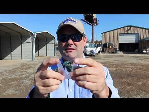 Common Types of Christmas Light Clips