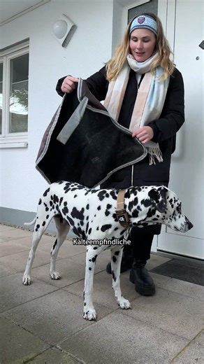 Wann friert ein Hund wirklich? ❄️🐶