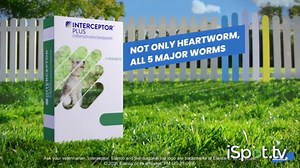 Elanco Companion Animal Health Interceptor Plus TV Spot, 'Close the Gap'