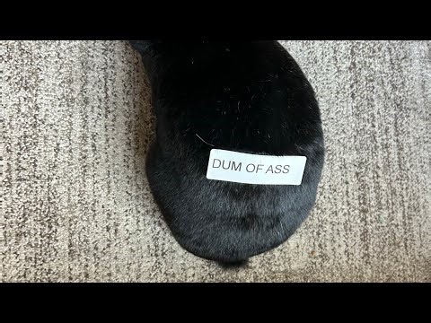 (10,000 User Coins) "Crossroads" by mbed