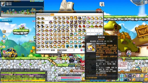 【TMS】宠物硬币的来源和用途