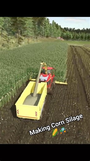 Making Corn Silage 🌽🚜