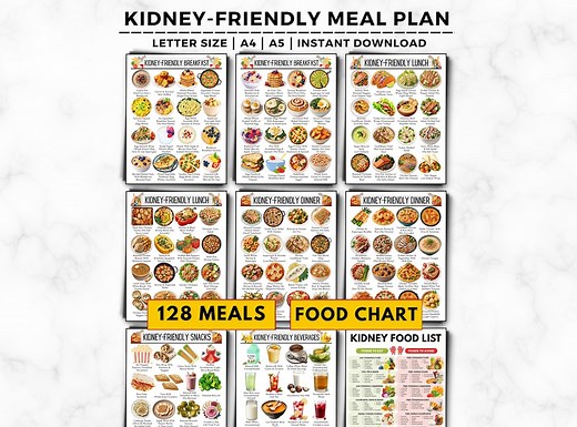 Kidney Disease Meal Plan: 128  Renal Diet Meal Ideas & Food List (printable Guide) - Etsy