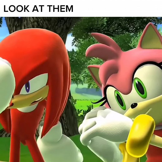 Best Friends Forever: Amy and Knuckles