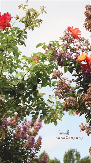 Amy Sinibaldi on Instagram: "I’m kinda beside myself, sad— mad at myself. My nanaCompany blog is gone. Typepad has shut down. 15 years of blogging. And I thought I’d downloaded it as the email instructed me to do but apparently I did something wrong. There are so many memories, so much work that went into that blog— it was the beginning of sewing, crafting, learning photography, styling, designing, collaborating with other artists, and -with my own hands- sewing and making things for my kids. I 