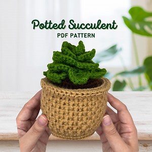 Crochet Potted Succulent Pattern | DIY Home Decor (PDF Pattern) - Etsy