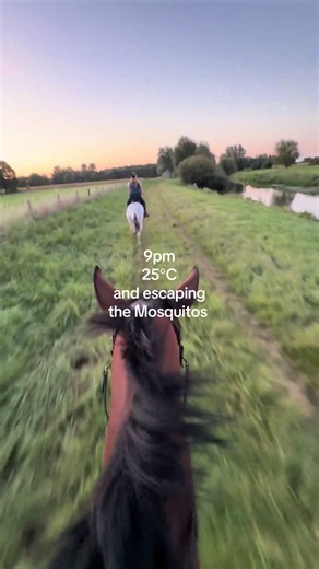 anna (@equeferrari)’s videos with sonido original - FAMILY