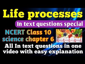 Life processes ! in text questions solution ! CBSE class 10 science chapter 6 ! NCERT solution