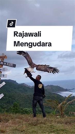 Predator Langit on TikTok