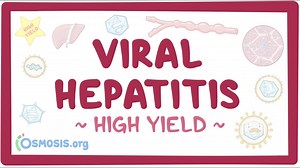 Viral hepatitis: Pathology review: Video, Causes, & Meaning | Osmosis