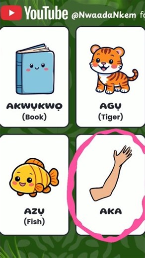 Can Your Child Say 🗣 Akwụkwọ? 👀 | Learn Igbo Alphabet A 🔤 (Fun for Kids!) #learnigbo #nwaadankem