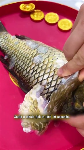 2-in-1 Stainless Steel Fish Scaler and Vegetable Peeler 🐟🔪 #KitchenTools #FishScaler #KitchenHacks