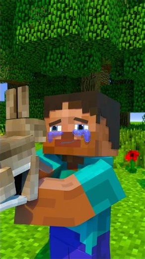 Sad story of a Rabbit