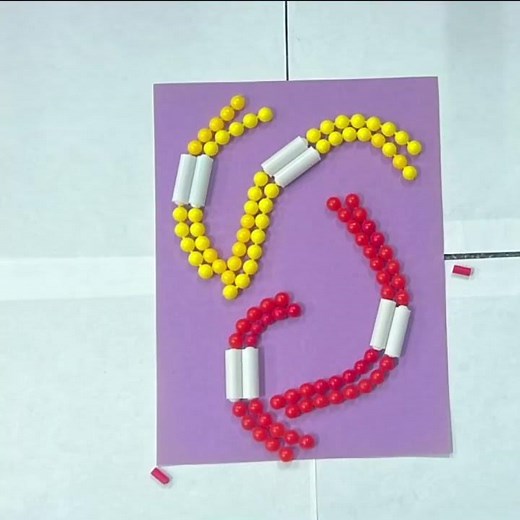 Modeling Mitosis and meiosis