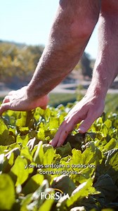 🍀¡Conviértete en un experto en Agronomía sin ser agrónomo y toma las mejores decisiones para tu negocio o proyecto agrícola para sea rentable y no arriesgues tu inversión de tiempo y dinero! Con nuestro Curso Virtual, aprenderás las mejores prácticas agrícolas, cómo aumentar la productividad, cómo hacer una gestión eficiente de recursos, y cómo manejar los riesgos y desafíos del campo.! 🔴 Accede hoy con el 60% con todos los beneficios y bonos🔴 CLICK AQUÍ: >> https://bit.ly/ForsuaCursoAgronomi