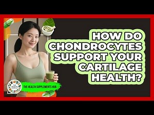How Do Chondrocytes Support Your Cartilage Health? - The Health Supplement Hub