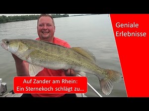 Zanderangeln im Fluss: Mit Sternekoch am Rhein in Holland