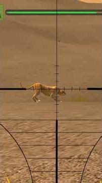 car games|animal hunting game|animals killing game children game