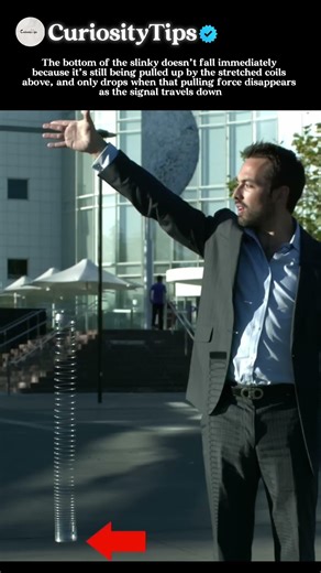 The Slinky That Defies Gravity (It Doesn’t Fall!). #shorts #viral