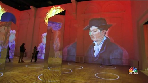 ‘Immersive Van Gogh Exhibit’ offers welcome escape in Chicago