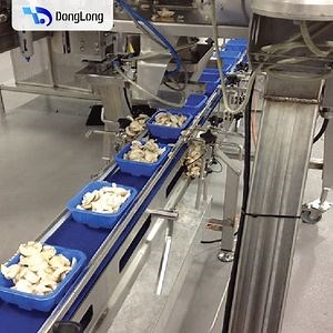 [Hot Item] Modular Belt Conveyor System for Industrial Automation