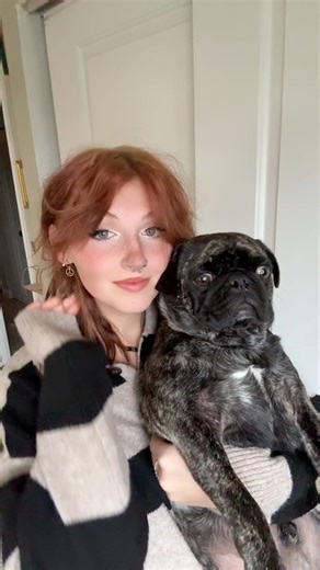 #pug #brindlepug | owonicole